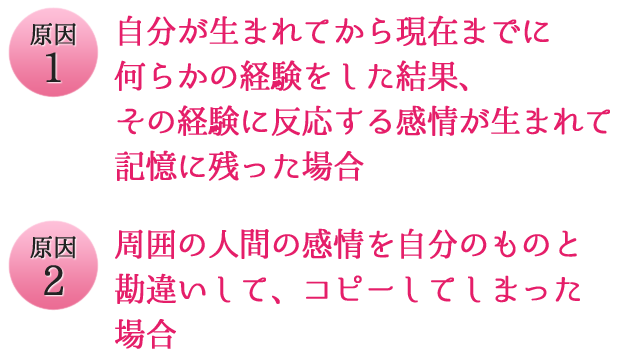 アニカ いやしの技術 心の悩みが消える不思議な力 人間関係 家族 先祖 過去世をいやします